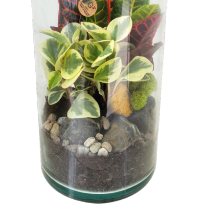 Garden View Tower Glass