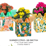 Summer Citrus