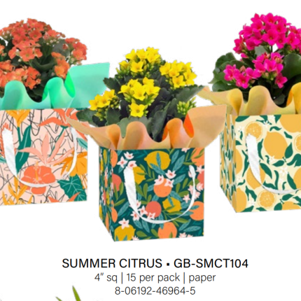 Summer Citrus