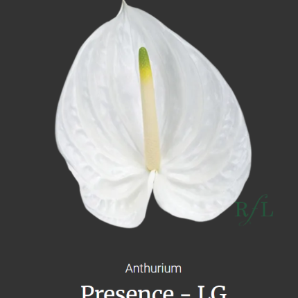 Presence