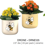 Drone Bee Garden
