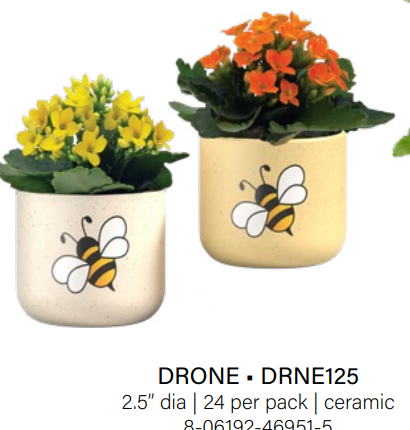 Drone Bee Garden