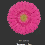 Sympathy