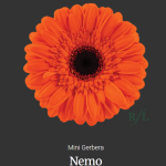 Nemo