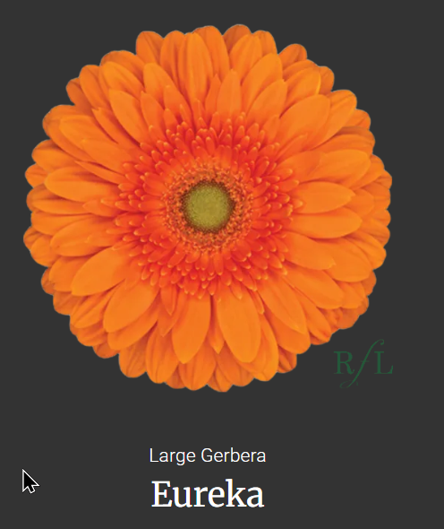 Eureka