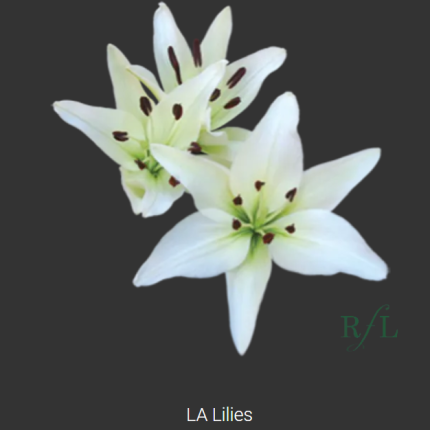 True White