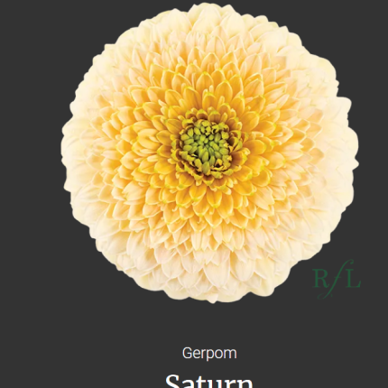 Saturn