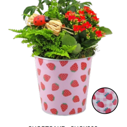 Shortcake Tin