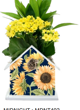 Midnight Birdhouse