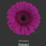Impact