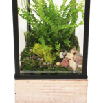 Modern Lantern Terrarium