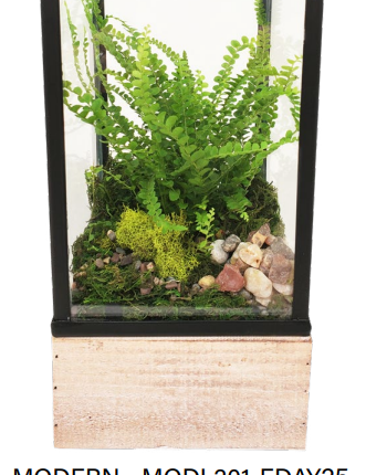 Modern Lantern Terrarium