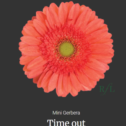 Time Out