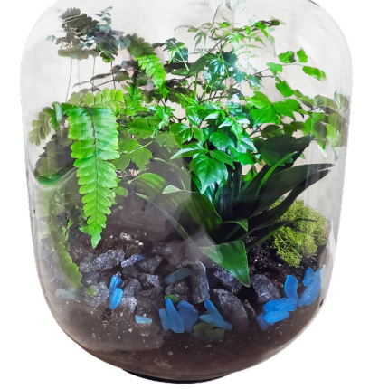 Avatar Grove
