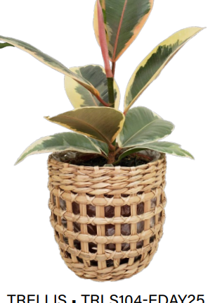 Trellis Woven Basket