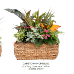 Capetown Wicker Basket Large