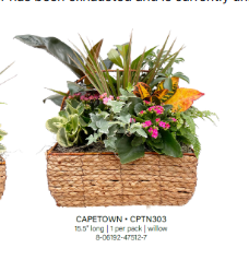 Capetown Wicker Basket Large