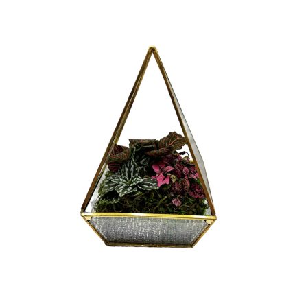 Geometric Terrarium -Pyramid Shape - Black Only 5"X8"