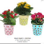 Fruit Party Clay