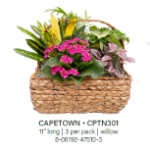 Capetown Wicker Basket Small