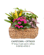 Capetown Wicker Basket Small