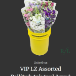 VIP LZ Assorted