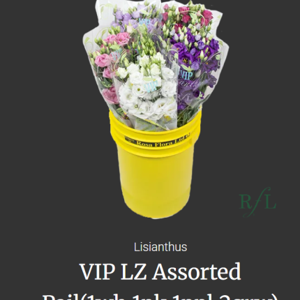 VIP LZ Assorted