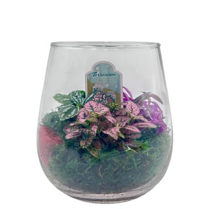 Jardinere Terrarium