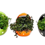 Chomper The Carnivore W/ Vining Plants