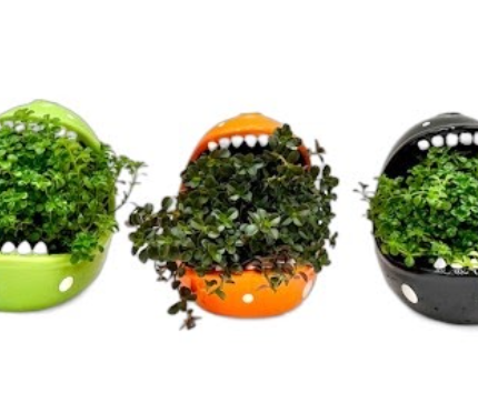 Chomper The Carnivore W/ Vining Plants