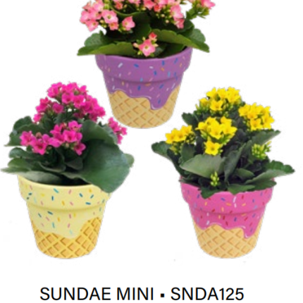 Sundae