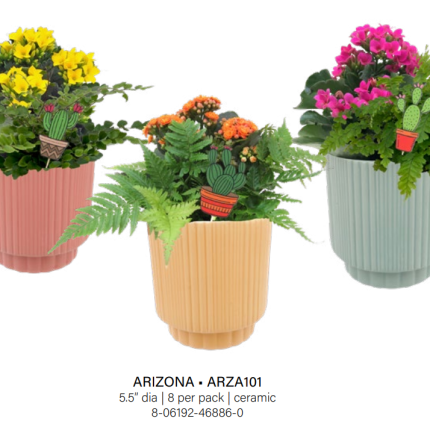 Arizona Garden