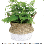 Seagrass Basket