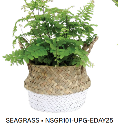 Seagrass Basket