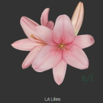 Light pink