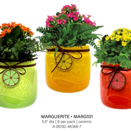 Marguerite Garden