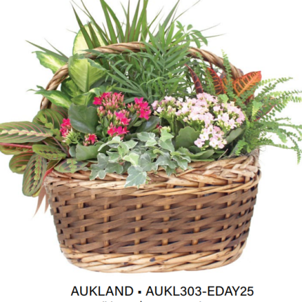 Wicker Basket