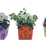 Haunted House Assortment WGHost Pick & Asst. 3" Foliage