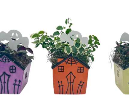 Haunted House Assortment WGHost Pick & Asst. 3" Foliage