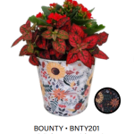 Bounty