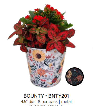 Bounty