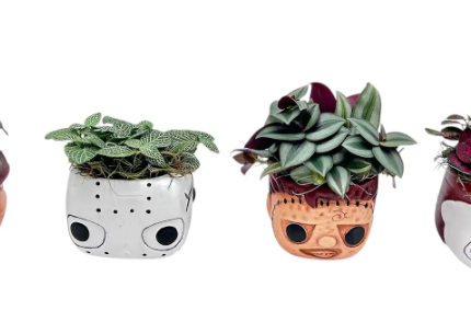 Tiny Terrors Assortment W/ 4" Asst. Foiage