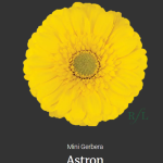 Astron