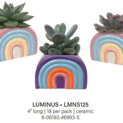 Luminous Rainbow