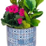 Azure Garden
