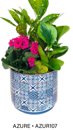 Azure Garden