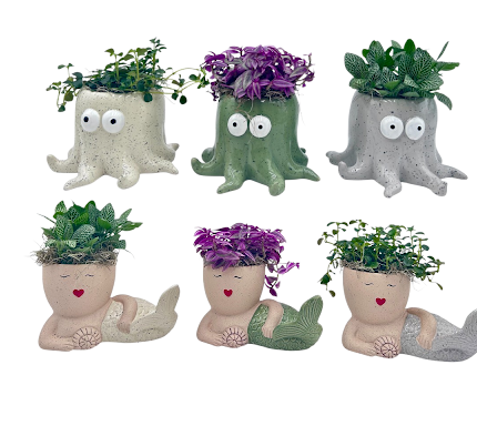 Sassy & Squidlo - Mermaid & Squid Planters W/Asst. 4" Foliage