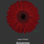 Amarone