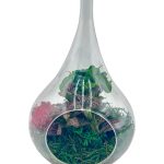 Raindrop Terrarium