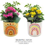 Delightful Rainbow Garden